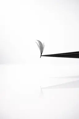 Extensions de cils - Wispy (Courbure CC/Épaisseur 0.07) - Belyzlash